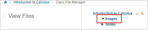 A new folder name is highlighted in the View Files pane.